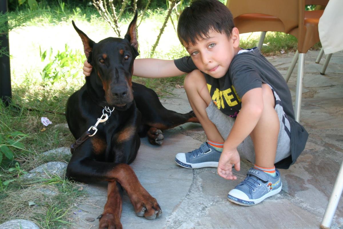 doberman ve çocuklar , evde doberman 