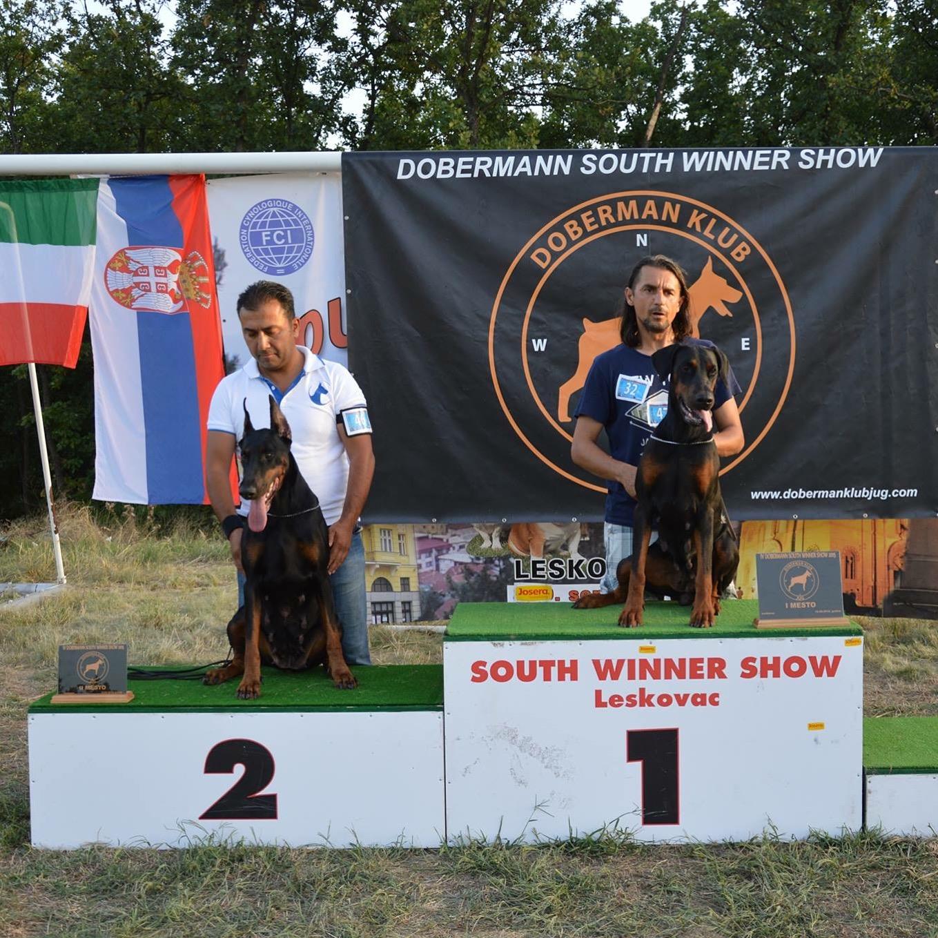 Knights of Night Doberman  SIRBISTAN LESKOVAC DOBERMAN KLUP SHOW 2.