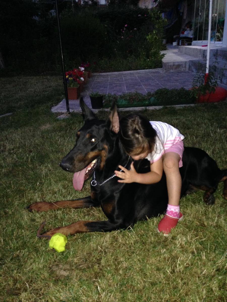 ÇOCUKLAR VE DOBERMAN 