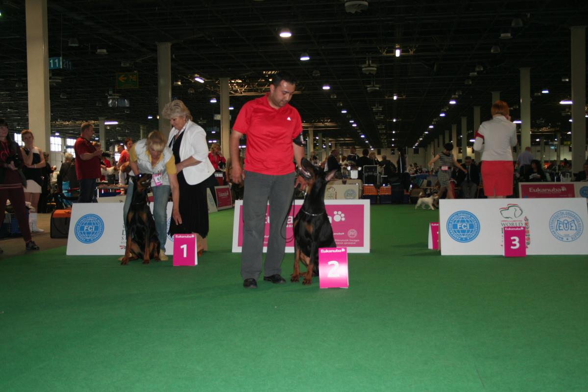 Euro DOG sHOW  