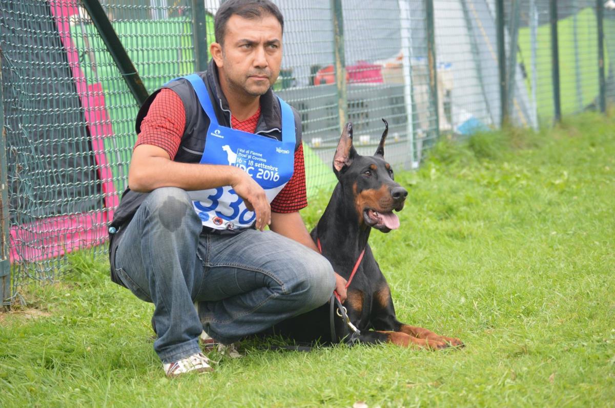 secereli doberman yazılar 