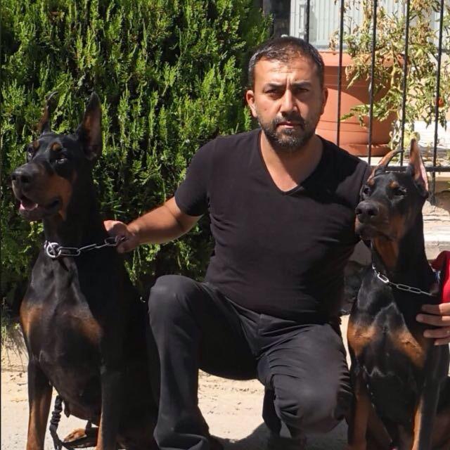 doberman ,ankara doberman üretim çiftliği , doberman üretim çiftliği ankara.